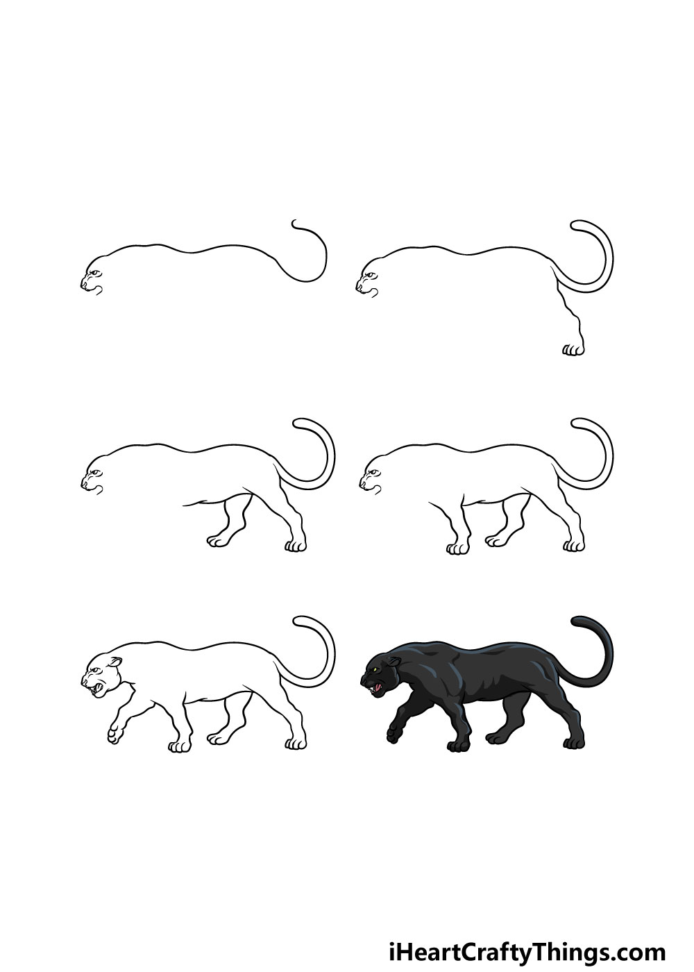 Panther Drawing How To Draw A Panther Step By Step