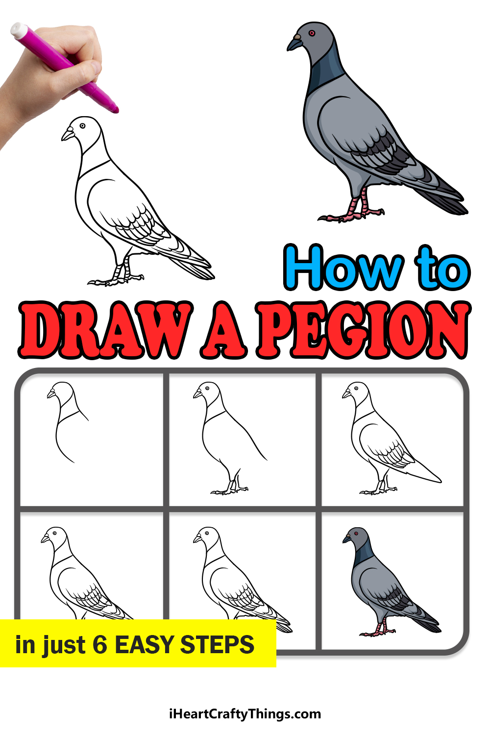 Passenger pigeon drawing – Line art illustrations