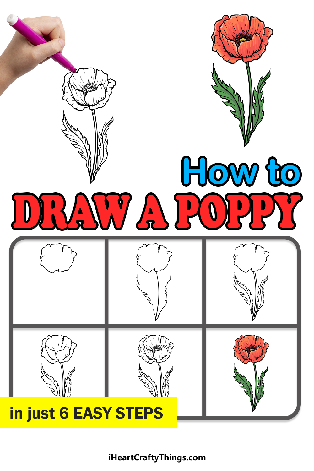 how to draw a poppy flower step by step