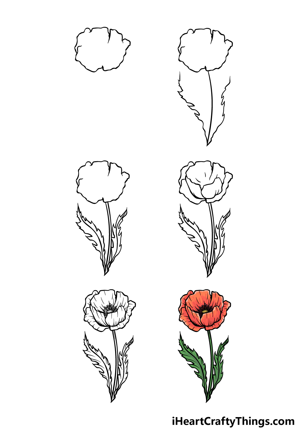 how to draw a poppy flower step by step