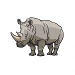 how to draw a rhino image