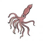 how to draw a squid image