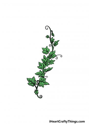 how to draw vines image