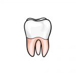how to draw a tooth image