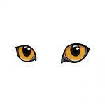 how to draw cat eyes image