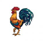 how to draw a rooster image
