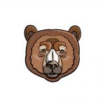 how to draw bear's face image