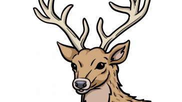 how to draw deer's head image