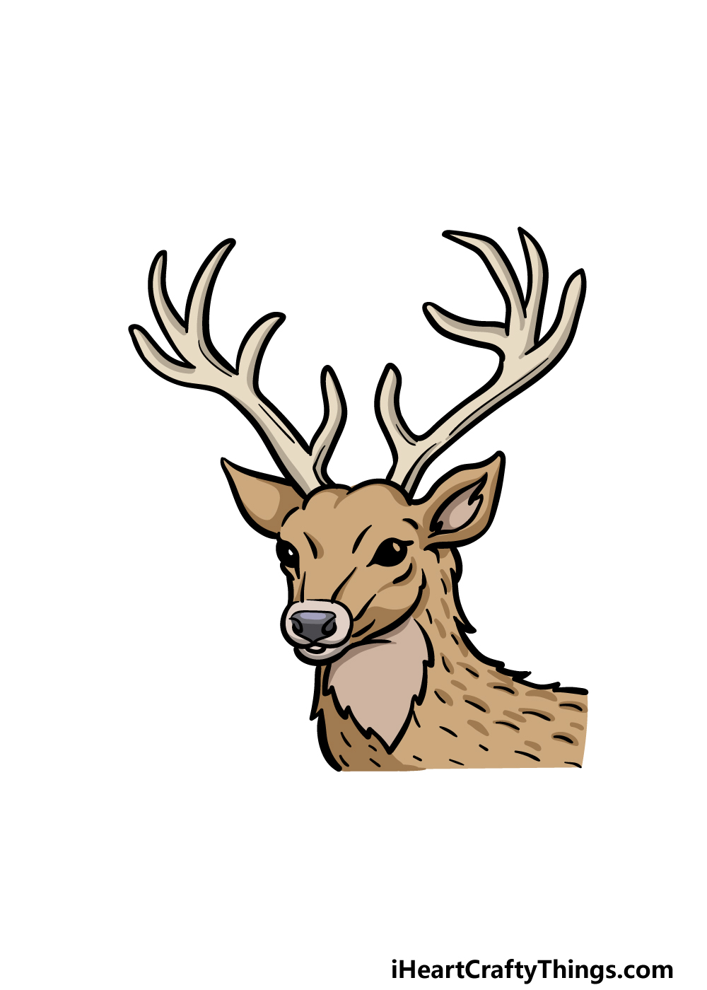 Deer Head Drawing How To Draw A Deer Head Step By Step