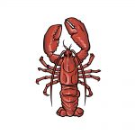how to draw a lobster image