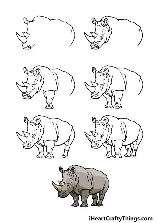 Rhino Drawing How To Draw A Rhino Step By Step