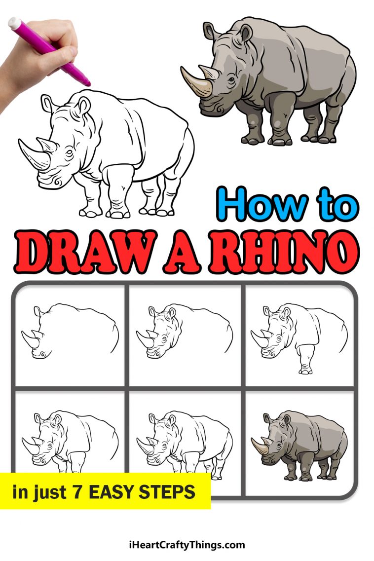 Rhino Drawing - How To Draw A Rhino Step By Step