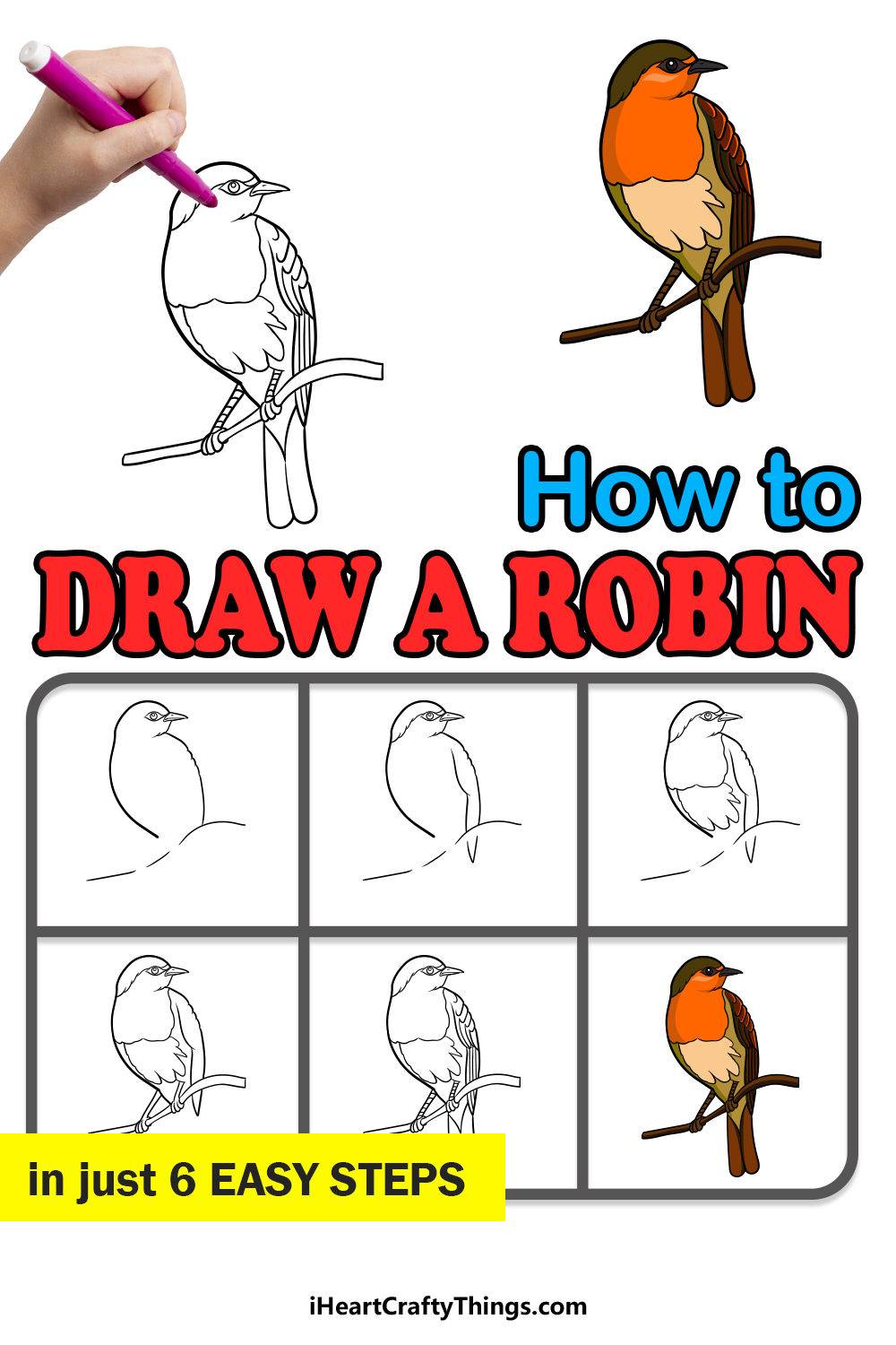 how to draw a robin in 6 easy steps