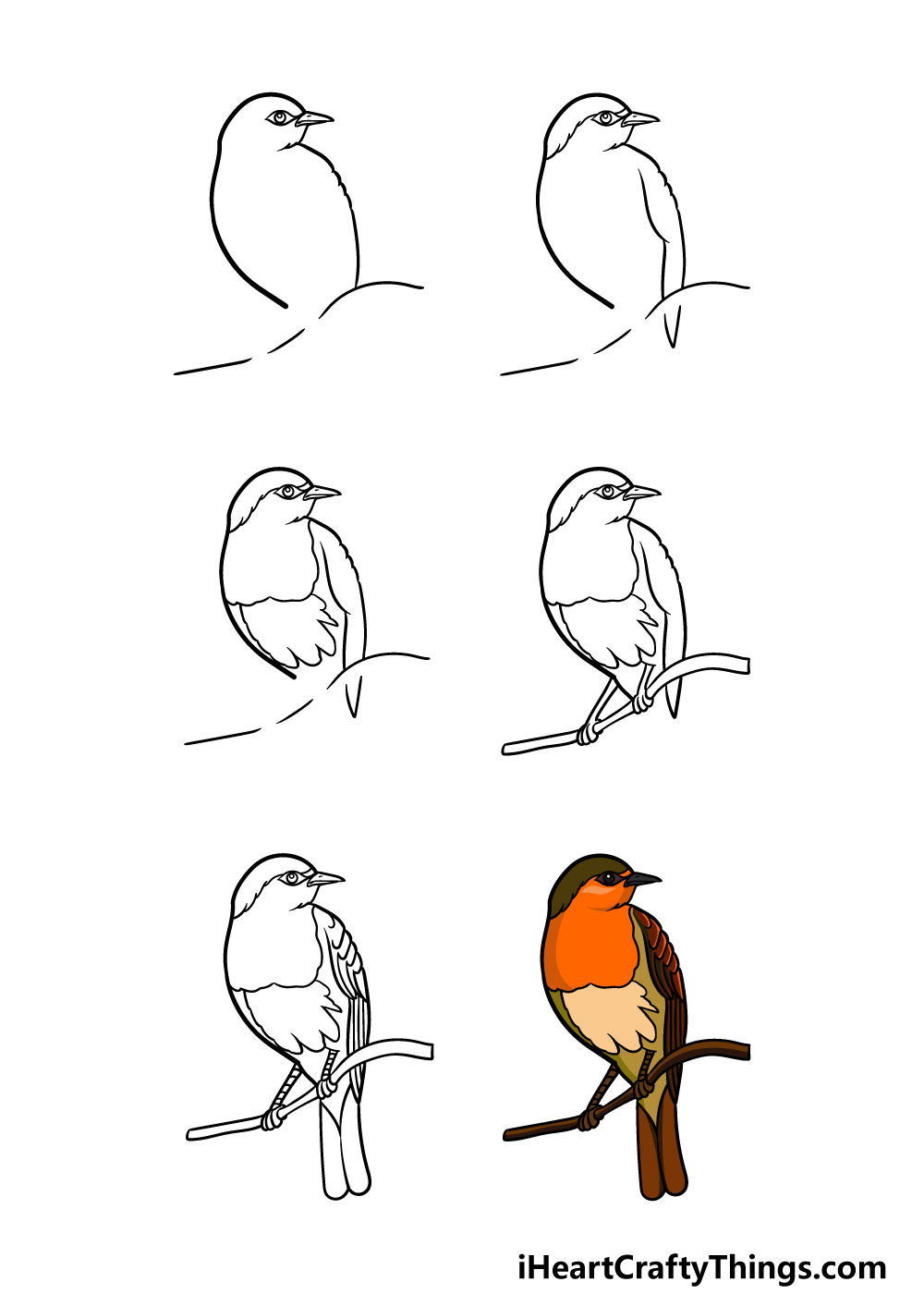 how to draw a robin in 6 steps