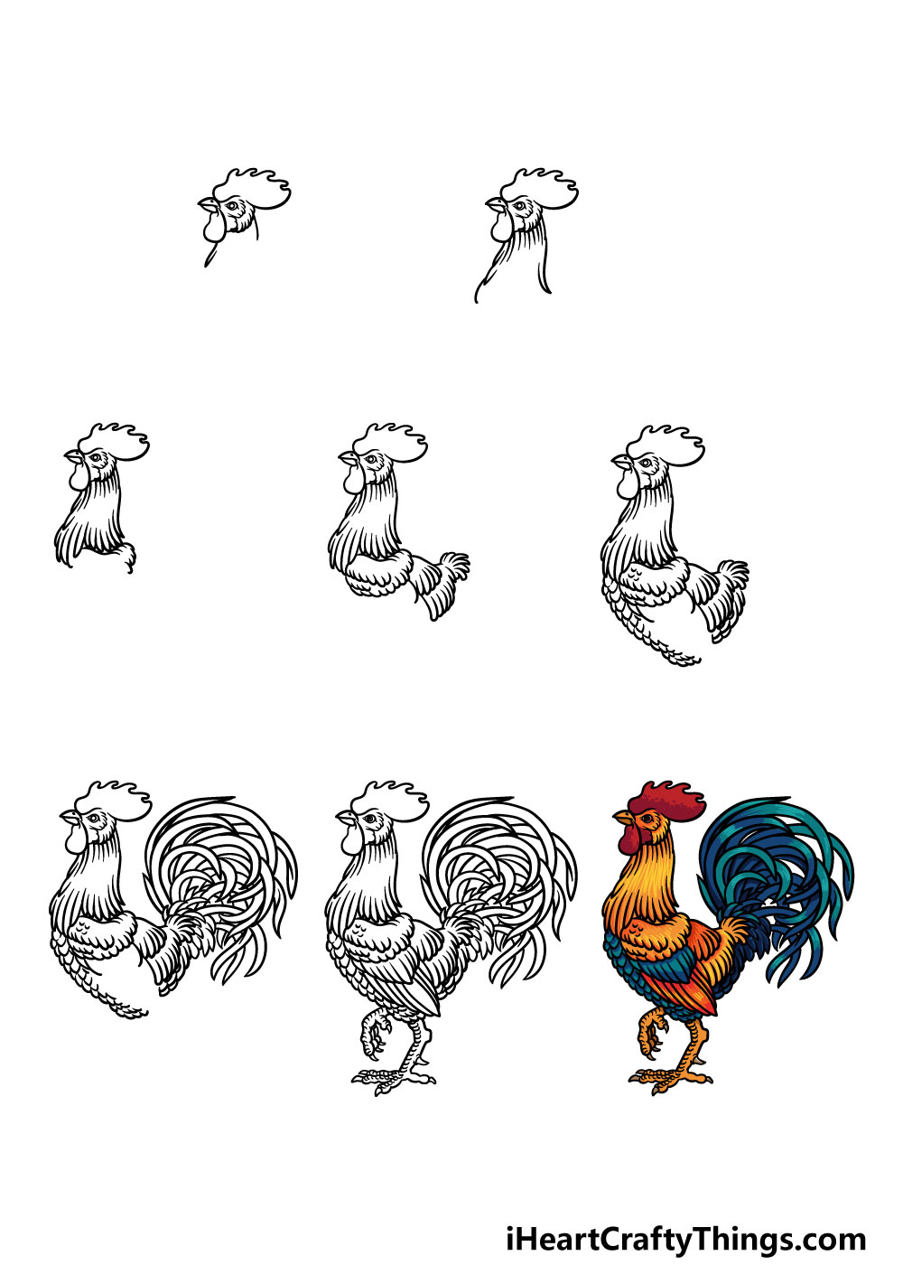 how to draw a rooster in 8 steps