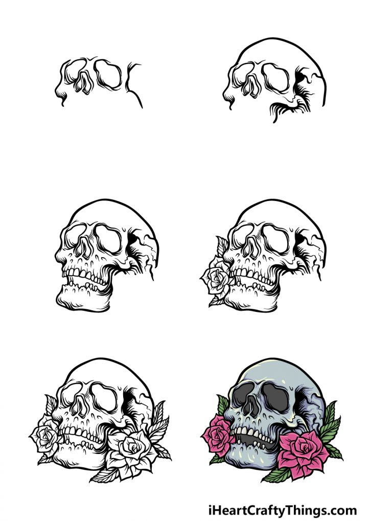Rose Skull Drawing How To Draw A Rose Skull Step By Step