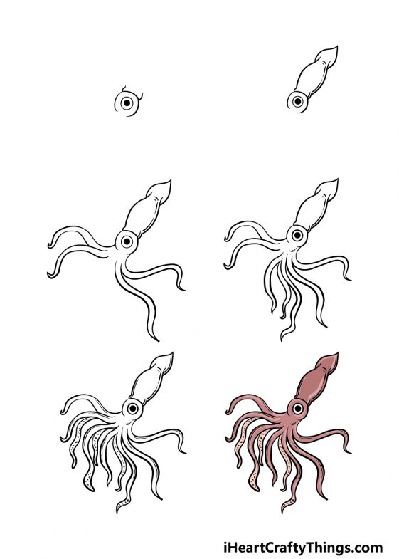 Squid Drawing How To Draw A Squid Step By Step