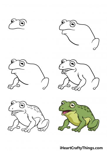 Toad Drawing - How To Draw A Toad Step By Step