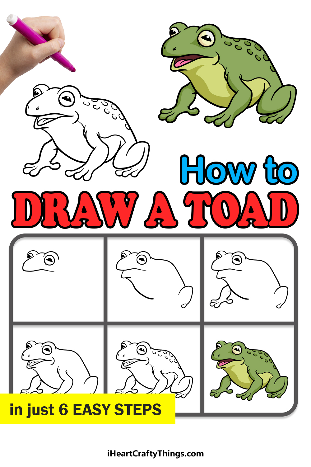 how to draw a toad in 6 easy steps