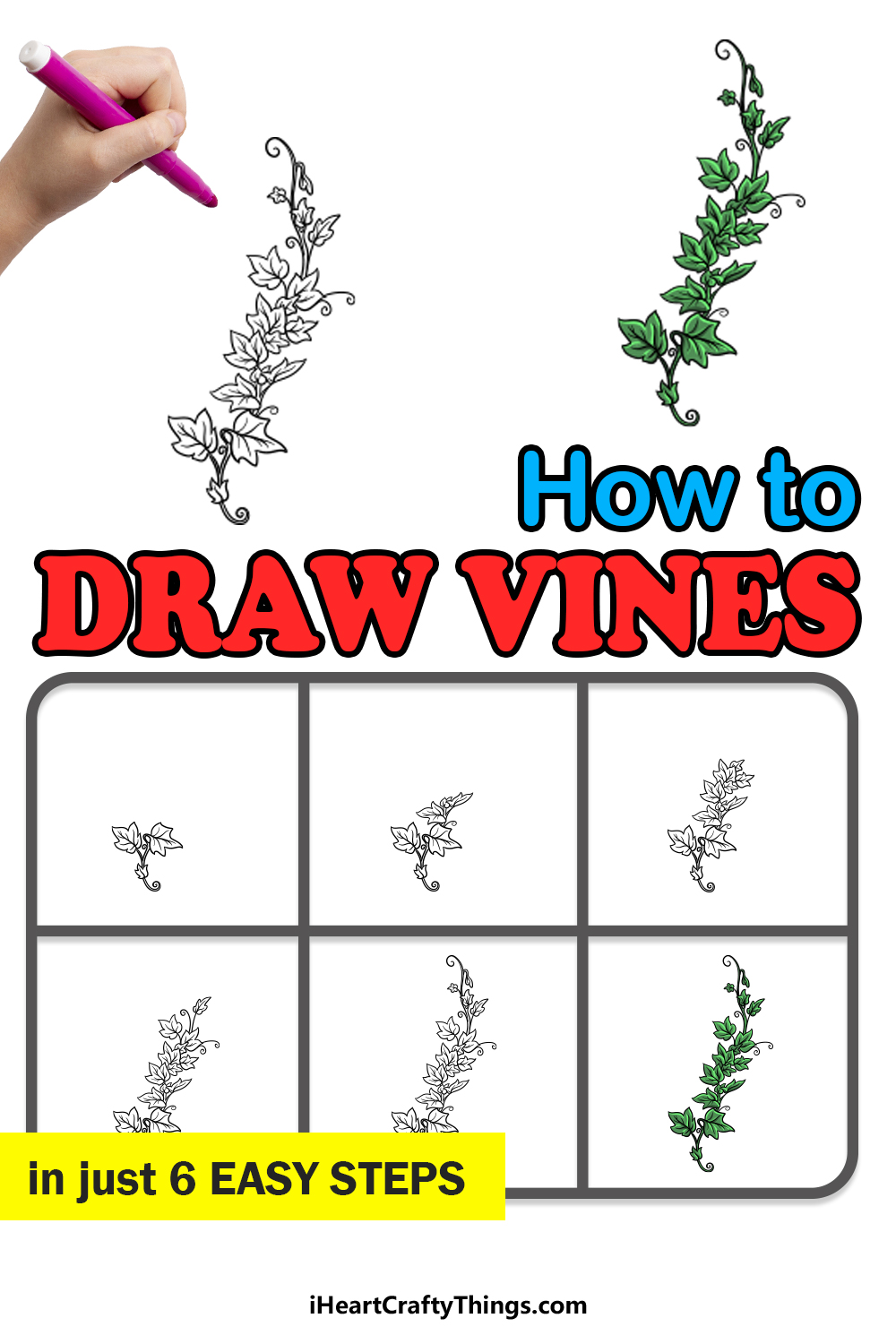 how to draw vines in 6 easy steps
