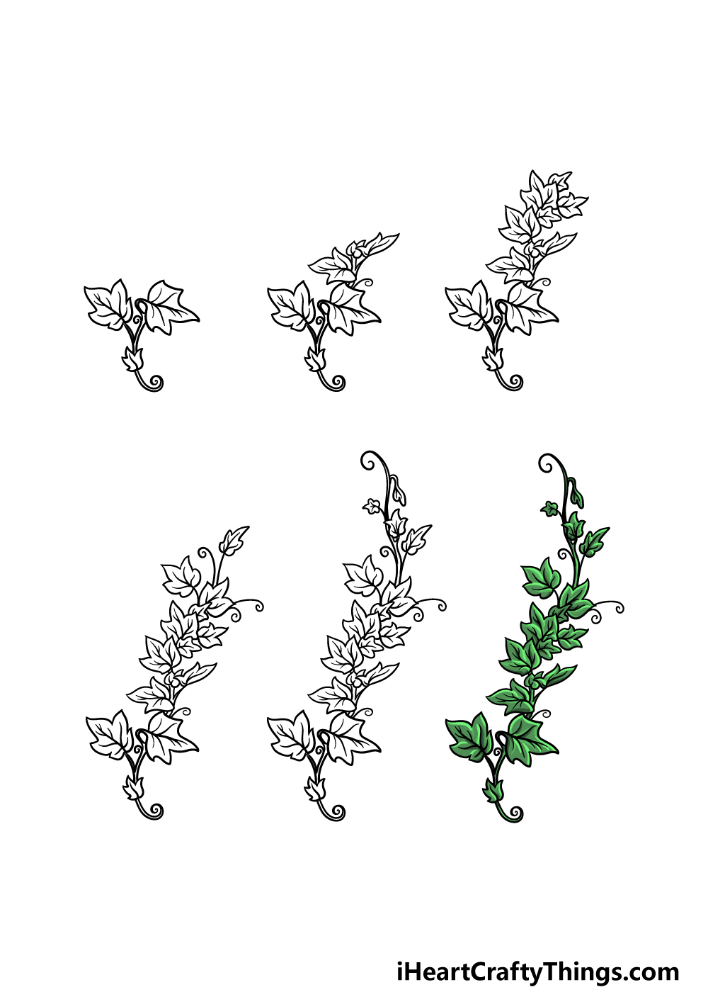 Vines Drawing How To Draw Vines Step By Step