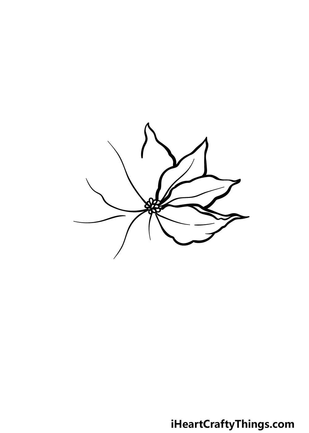 drawing poinsettia step 2