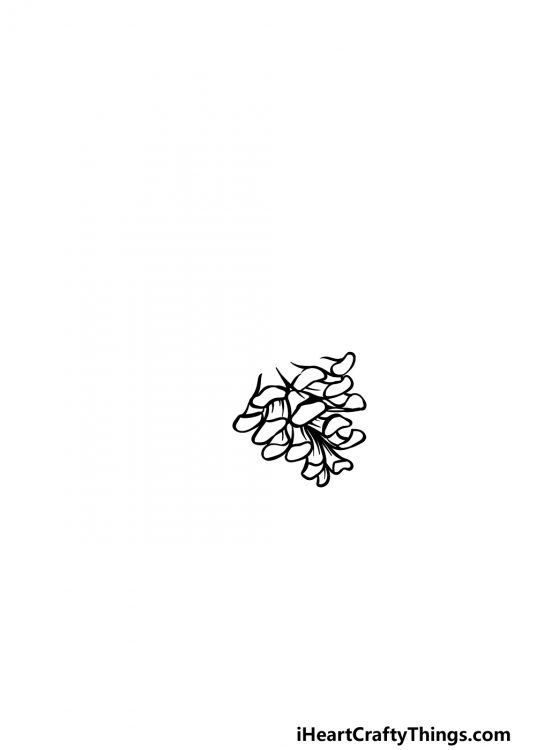 Pinecone Drawing - How To Draw A Pinecone Step By Step