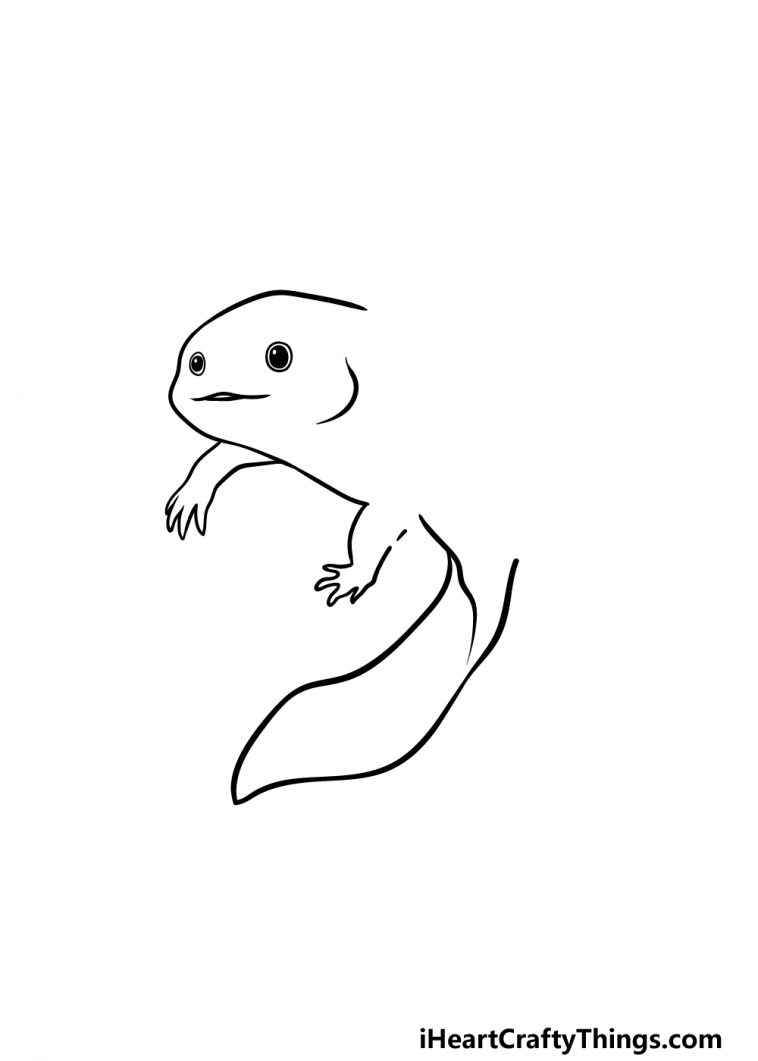 Axolotl Drawing How To Draw An Axolotl Step By Step