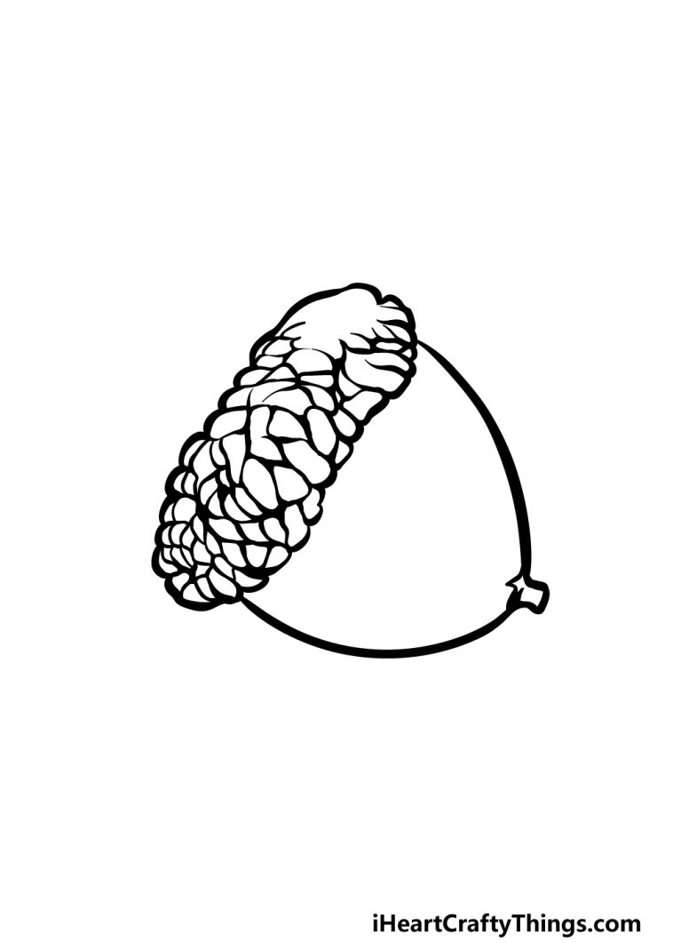 Acorn Drawing - How To Draw An Acorn Step By Step