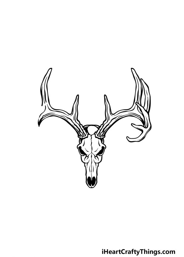 Deer Skull Drawing - How To Draw A Deer Skull Step By Step