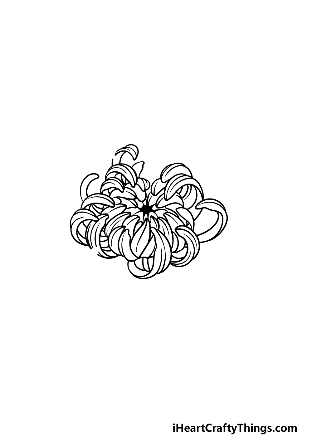 Chrysanthemum Drawing - How To Draw A Chrysanthemum Step By Step