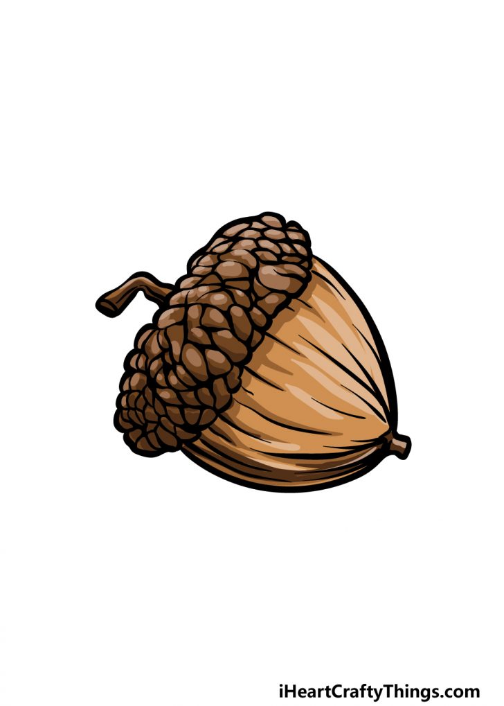 Acorn Drawing - How To Draw An Acorn Step By Step