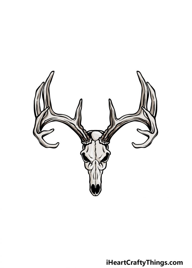 Deer Skull Drawing - How To Draw A Deer Skull Step By Step