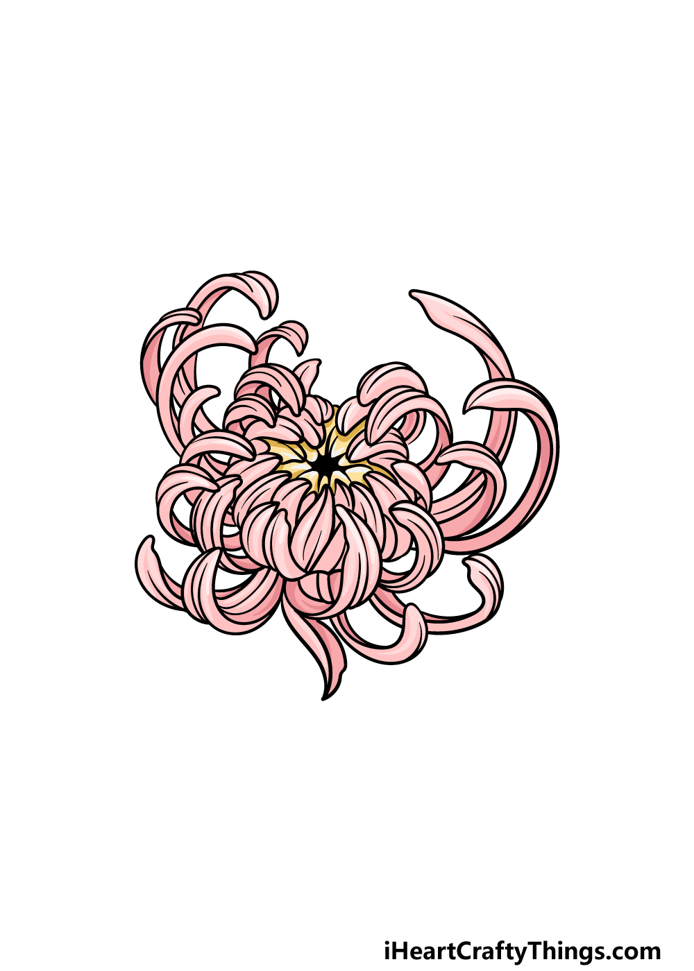 drawing Chrysanthemum step 6
