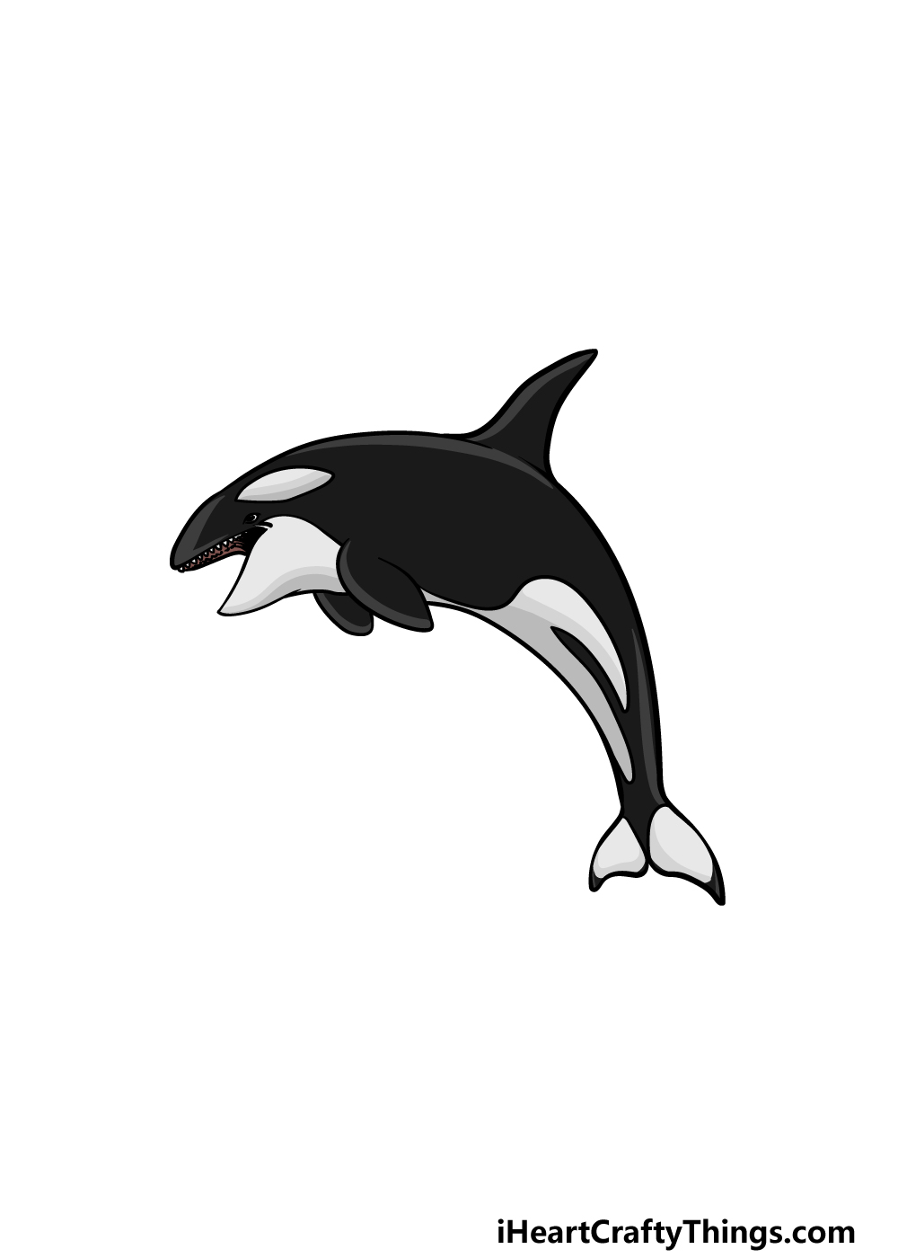 drawing an orca step 6