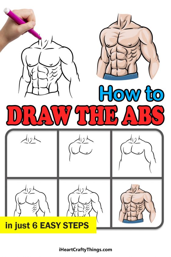 Abs Drawing - How To Draw Abs Step By Step