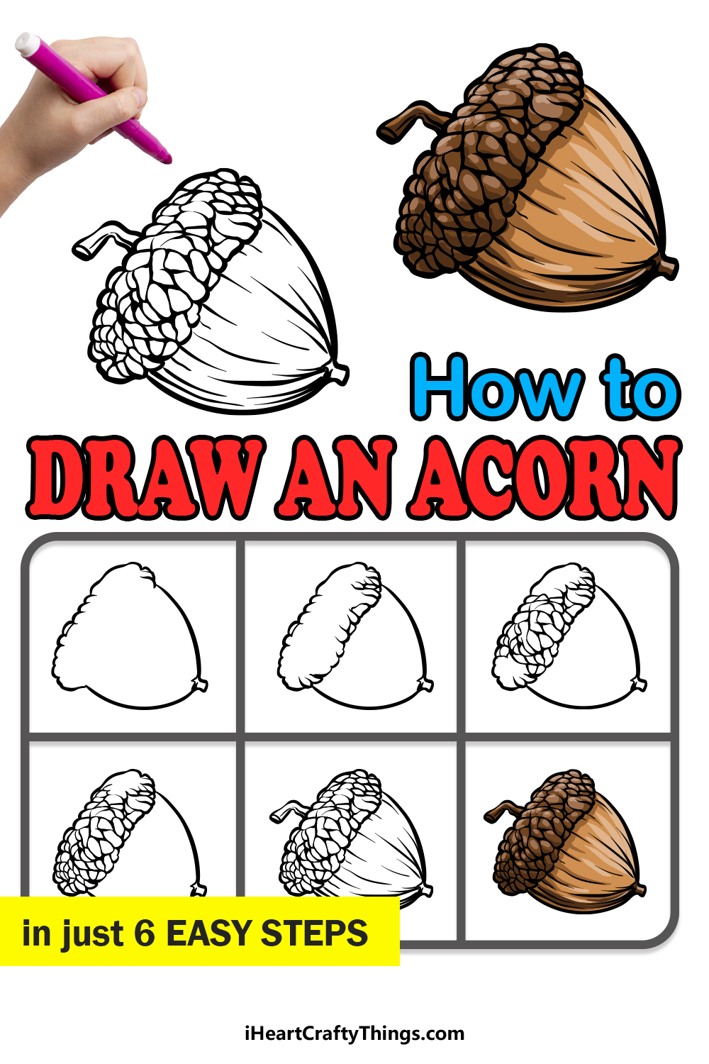 how to draw an acorn in 6 easy steps