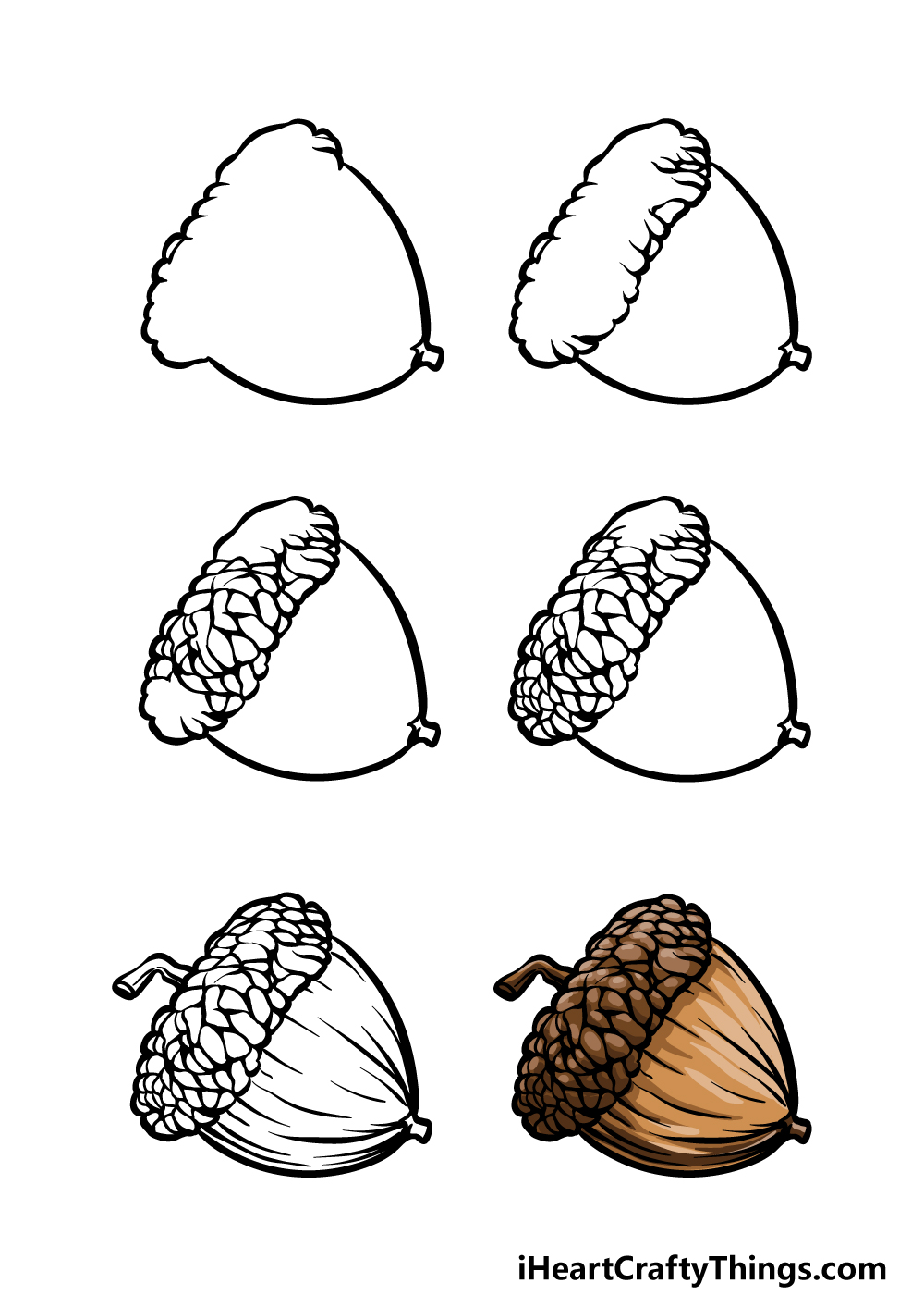 how to draw acorn in 6 steps