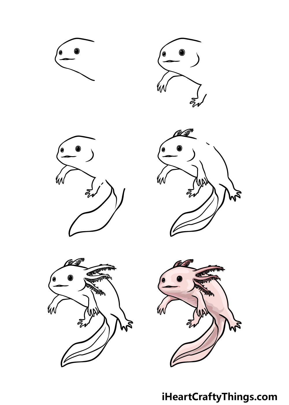 how to draw axolotl in 6 easy steps