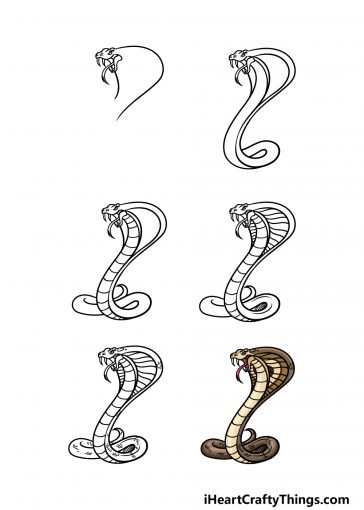 Cobra Drawing - How To Draw A Cobra Step By Step