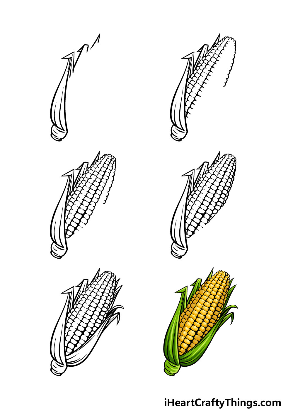 how to draw a corn in 6 steps