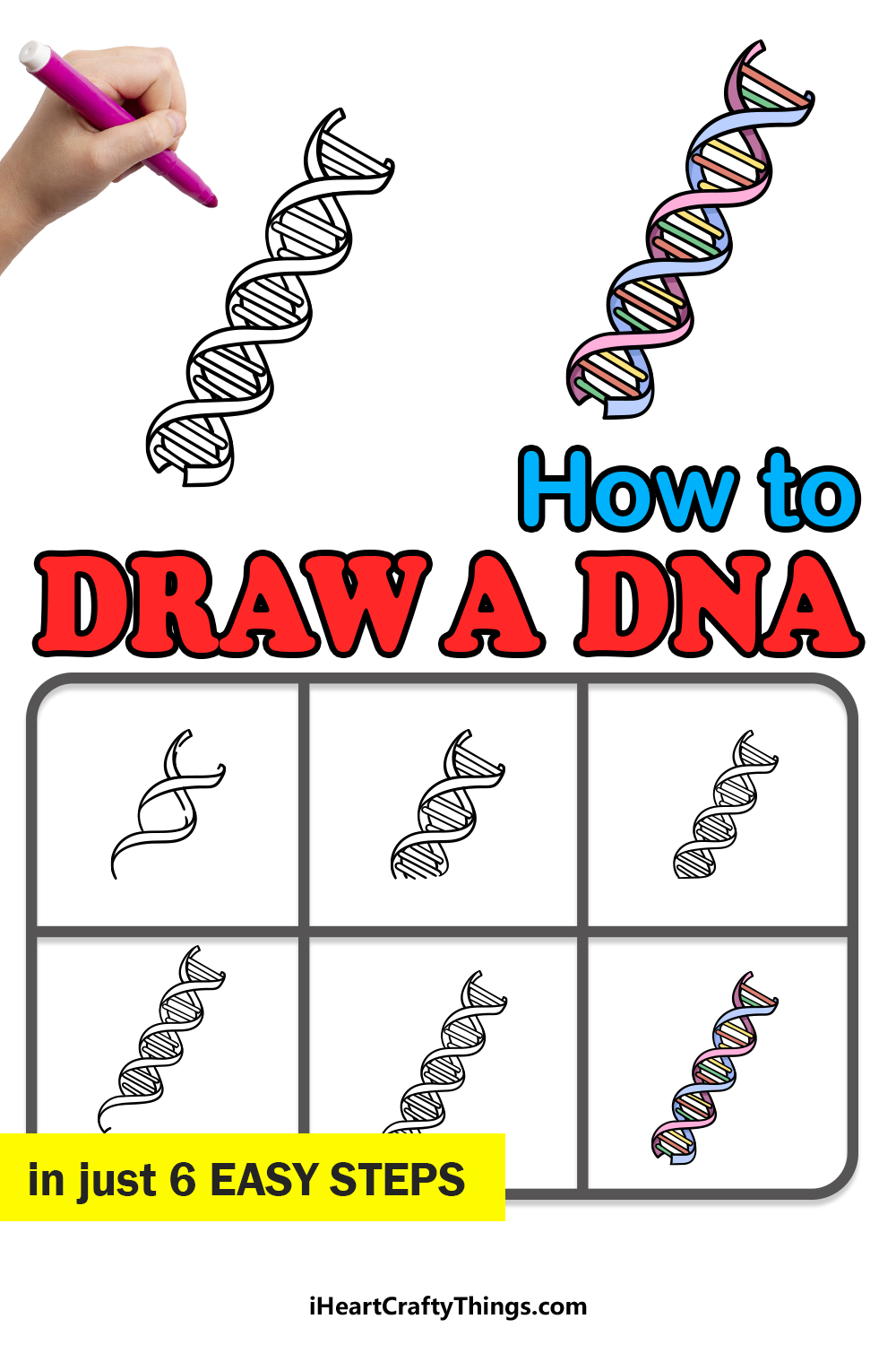 how to draw DNA in 6 easy