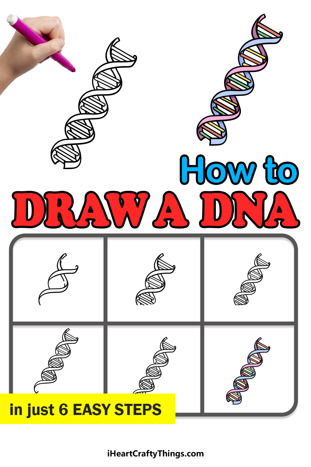 Simple Dna Strand Drawing