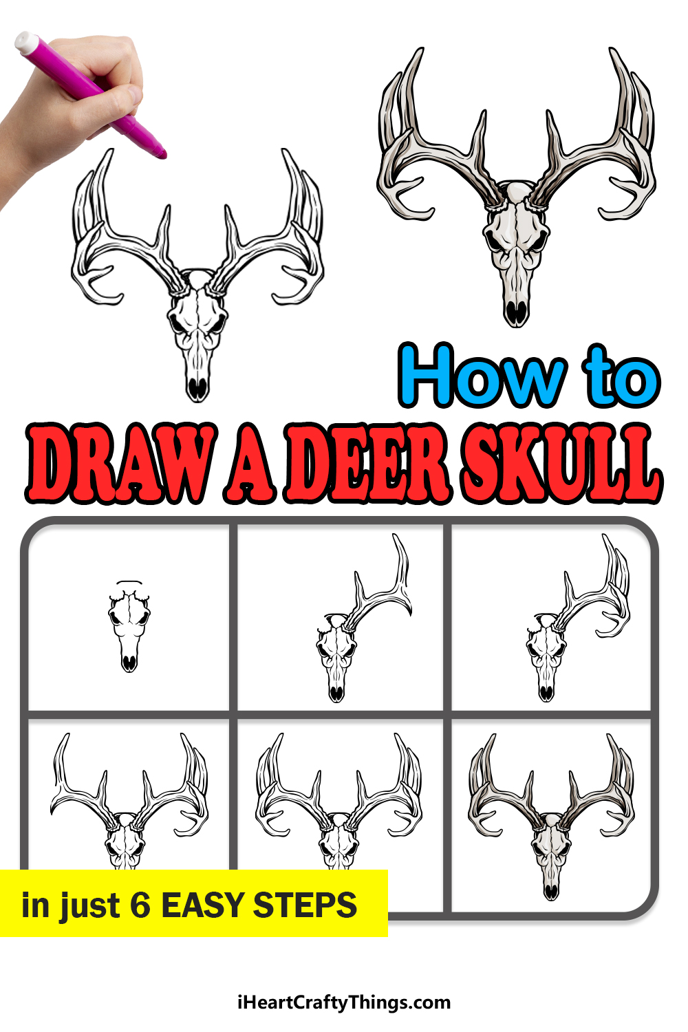 how to draw a deer skull in 6 easy steps