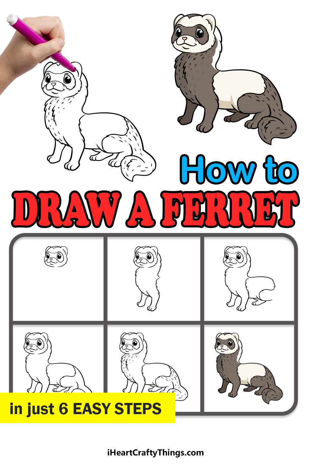 how to draw a ferret in 6 easy steps