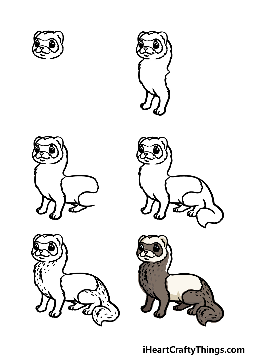 how to draw a ferret in 6 steps