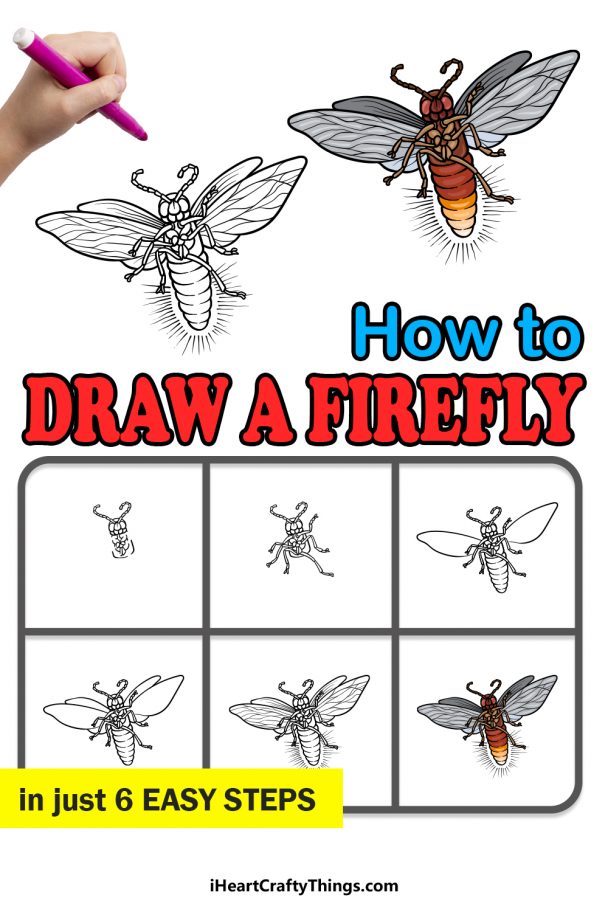 Firefly Drawing - How To Draw A Firefly Step By Step