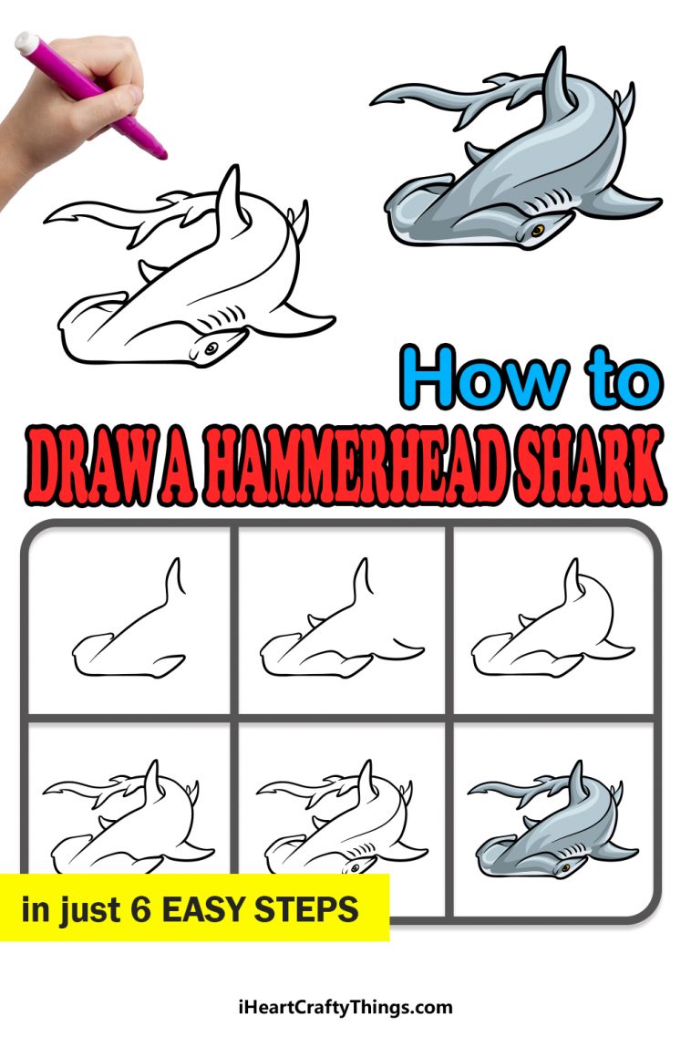 Hammerhead Shark Drawing How To Draw A Hammerhead Shark Step By Step