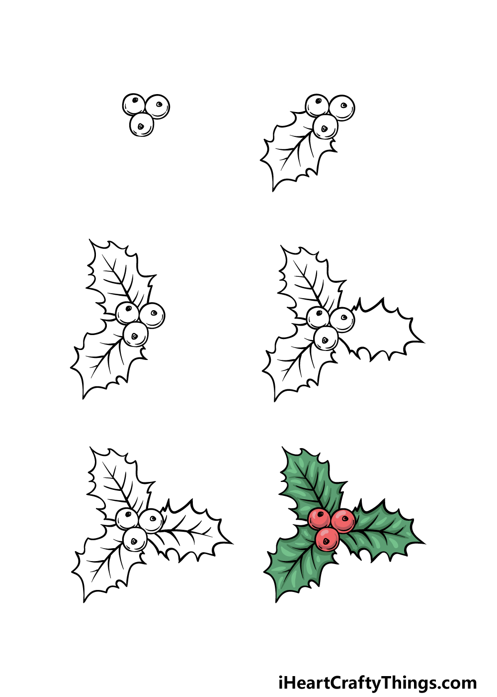 how to draw a holly in 6 steps