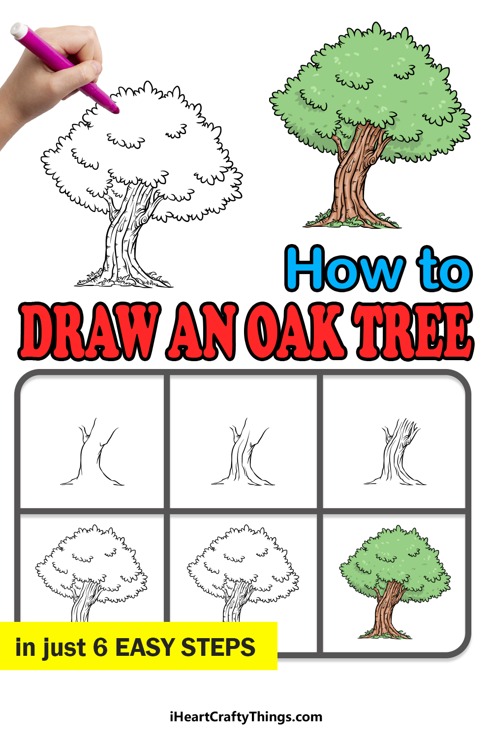 how to draw an oak tree in 6 easy steps